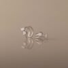 Duo Crystal Ear Cuffs - Norfloor