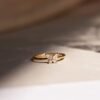 norfloor-mariposa-crystal-ring-1 Mariposa Crystal Ring - Norfloor