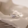 norfloor-mariposa-crystal-ring-5 Mariposa Crystal Ring - Norfloor